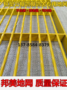 公棚鴿棚鴿舍信鴿包塑鋼格地網產品展示